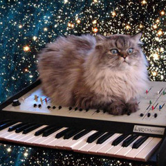 Ranton D. - Space Cats like Techno
