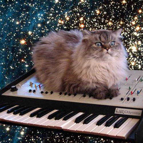 Ranton D. - Space Cats like Techno