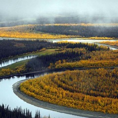 We Plants Are Happy Plants - Fun Year Mix (2013)