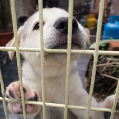 你的名字我的姓氏