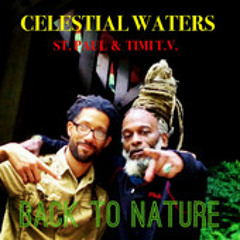 Celestial Waters - Back To Nature
