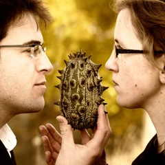 Bach BWV 1014 Adagio