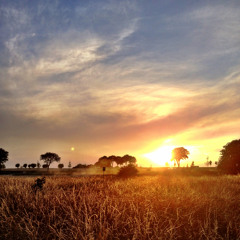 All Blue - Anton Hultberg