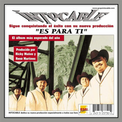 Intocable Ayudame