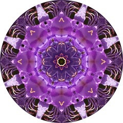 Mind Opened  (mastered)