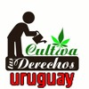 Drugs: Uruguay's Marijuana Bill & Cartel Violence in Mexico (Lp10172013)