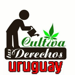 Drugs: Uruguay's Marijuana Bill & Cartel Violence in Mexico (Lp10172013)