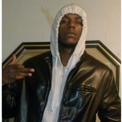 Average Cat Freestyle