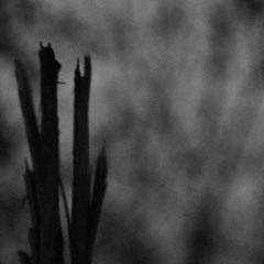 Slow Pan From Left To Right [Free Download]