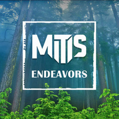 MitiS - Endeavours