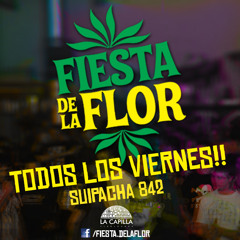 Spot Fiesta de la Flor x "No te duermas esta noche"