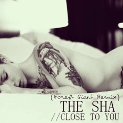 The Sha - Close To You (Forest Giant Remix)