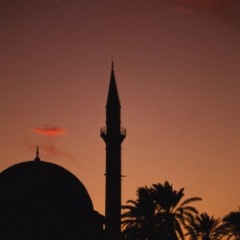 لنا همم , وللهمم اشتعالُ , أبوعبدالملك , وأسامة السلمان
