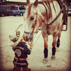 Pepe Tovar Y Los Chacales (te Vas O Te Quedas)