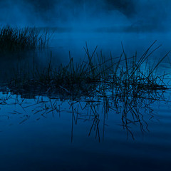 The Beast of Dunn's Swamp, Wollemi NP, Australia