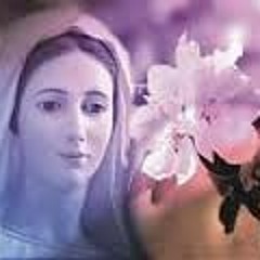 مديحة افتح فاى بالتسابيح