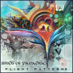 Birds of Paradise-Ocean Minded (Album Mix)