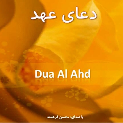 Dua Ahd (Ahad)- دعای عهد- Mohsen Farahmand