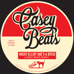 Missy Elliot-She's A Bitch (Casey Beats Remix)