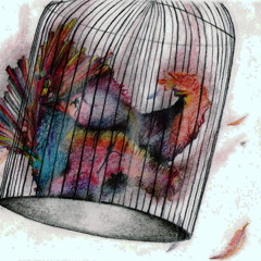 Versereno-Caja rumiante (C.aRec)