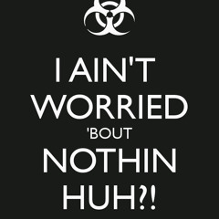 Aint Worried bout nothing(DJ Nomad's HAAAAAN Remix)