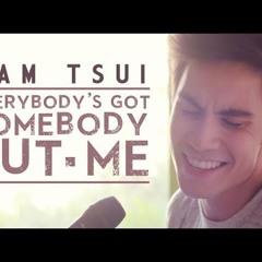 Sam Tsui - Everybody Got Somebody But Me