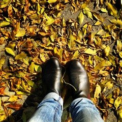 fall 2013