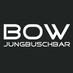Steffen Baumann and a Night At BOW Part2