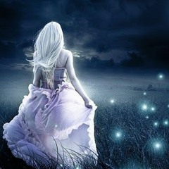 Moonlit Skies And Fireflies