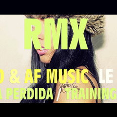 Le Fay - Bala Perdida / Training Day (HDO & AF Music RMX)