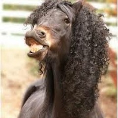 Nieuws in het sranangtongo Afl 8