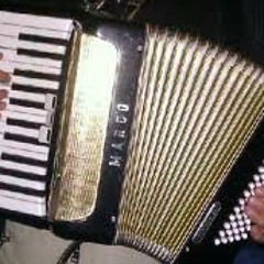 Bushplant with seanie vaughns tunes (rough mix)