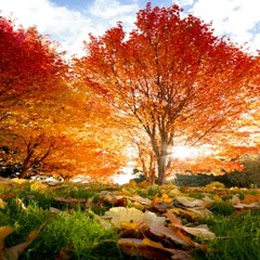 Falling Leaves - By  Ulf 'Zorrow' S , Carina 'Plinka' A. and Bjurte