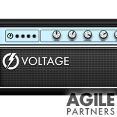 Voltage VT Reissue