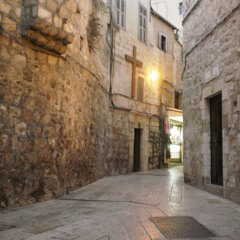 المرنمة ليديا شديد