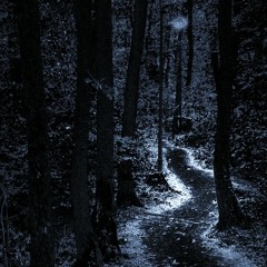 Obscurus Anima - Spoken Forest 185bpm (preview)