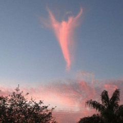 Angel In The Sky
