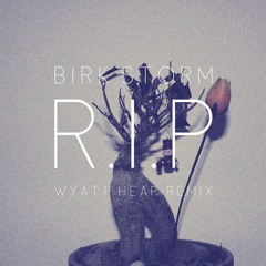 Birk Storm - R.I.P. (Wyatt Heap Remix)