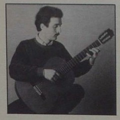 Federico Moreno Torroba -  Sonatina -  Andante. Chitarrista Giorgio Tonin
