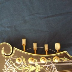 The Wild Wood-Mother Moon