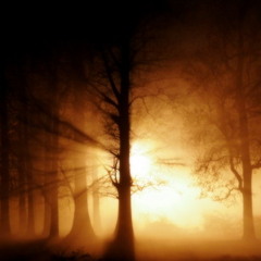 Scarecrow - Orange Mist (2008)