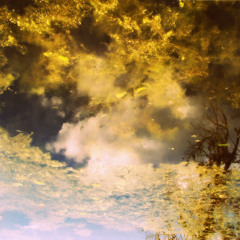 :Glowfishing: (Lowfishing #4)