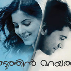 'Shyamambaram' from 'Thattathin Marayathu' by daN