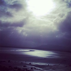 Sharon Shannon The Blackbird Loop Pedal