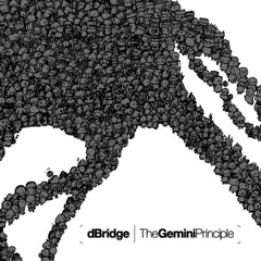 D-Bridge - The Question