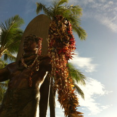 ALOHA Reggae