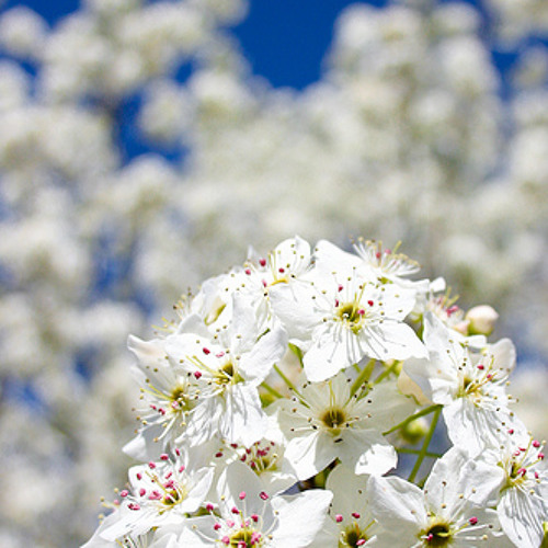 If Your World Should Fall Apart