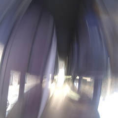 Bertil Krasnodar Zemfira Support