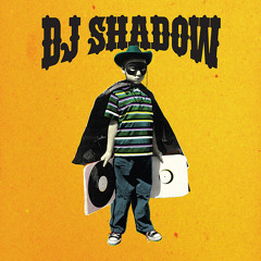 DJ Shadow - Midnight In A Perfect World (remix)