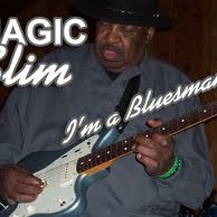 The Best Of Magic Slim